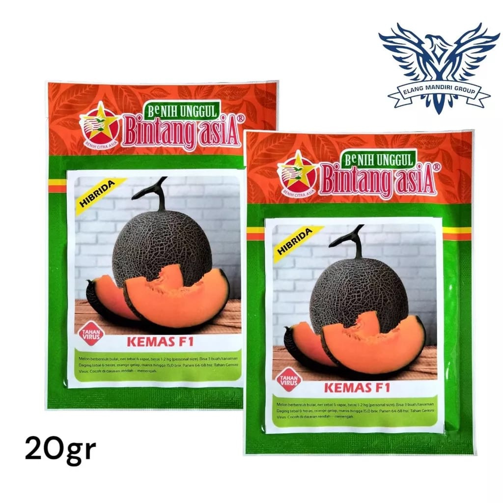 Benih Melon KEMAS F1 20gr Bibit Tahan Virus Gemini Rock Melon Daging Orange Unggul Bintang Asia