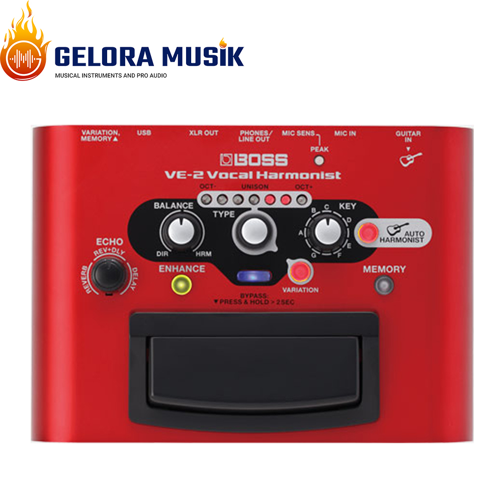 Efek Vokal Boss VE-2