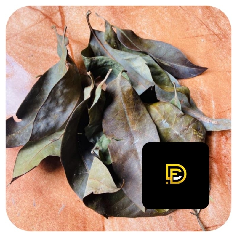 

Daun puspa kering organik alami 200 gram
