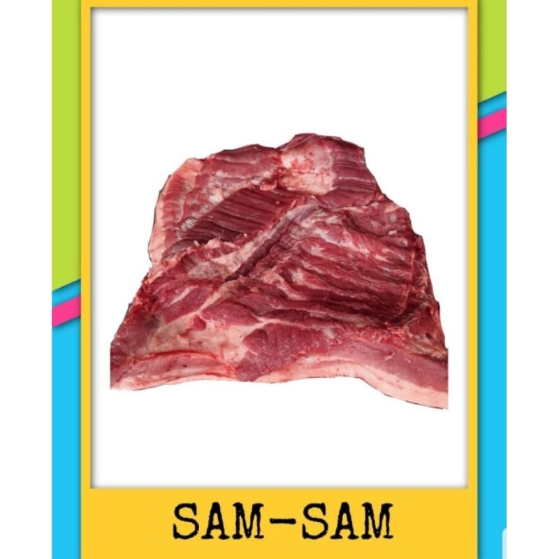 

sancam/sam-sam