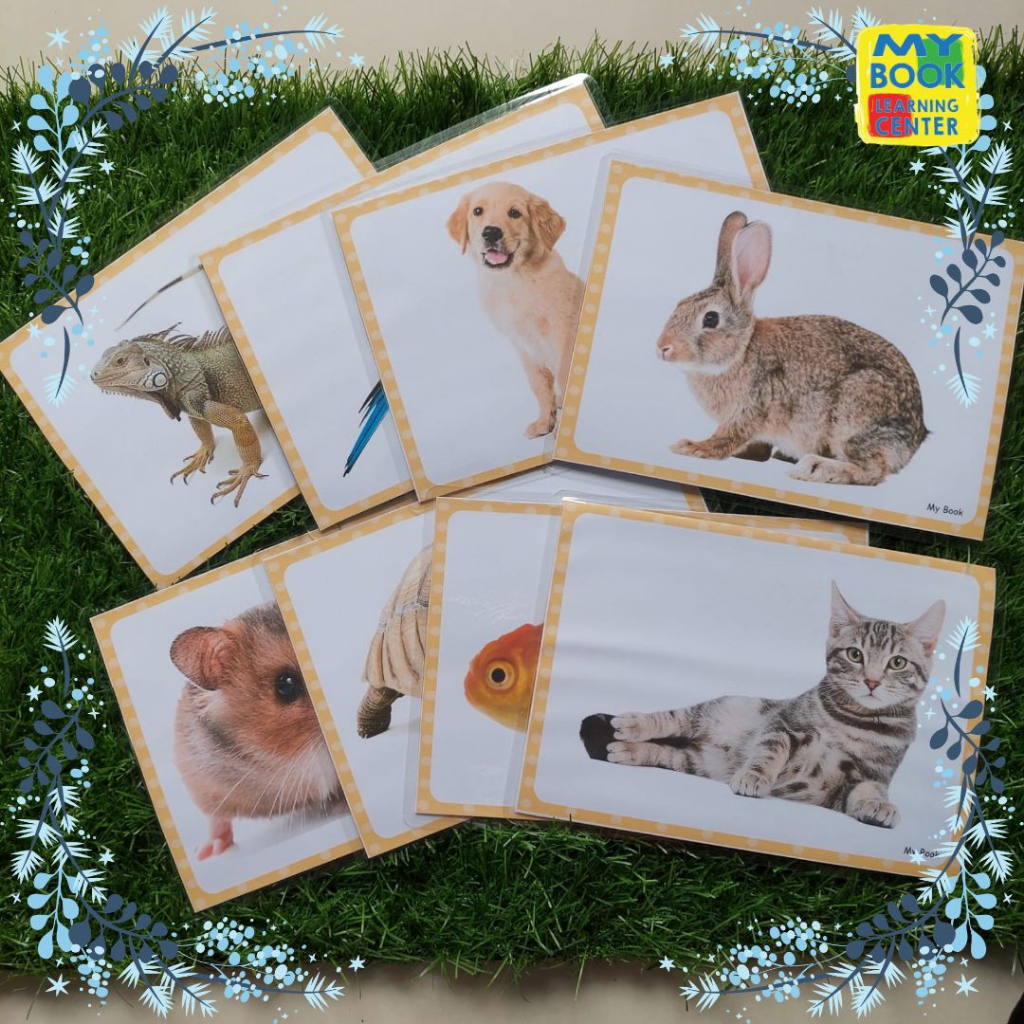 

Kartu Mainan Edukasi Anak // Flashcards SIZE JUMBO Tema Hewan Peliharaan // Pet Animals 3 Bahasa untuk anak umur 1-6 tahun