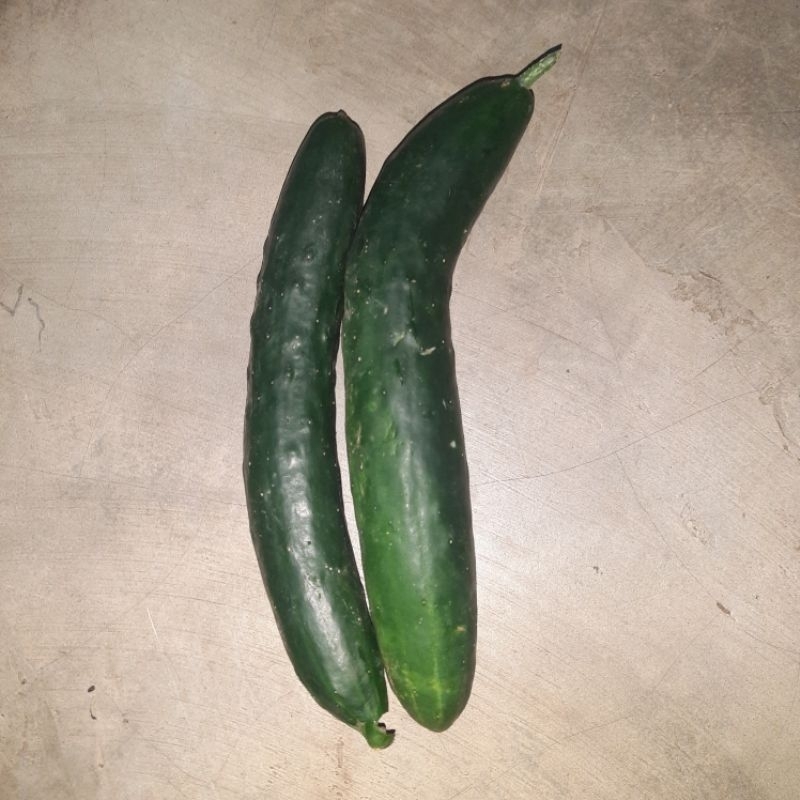 

timun kyuri 1kg