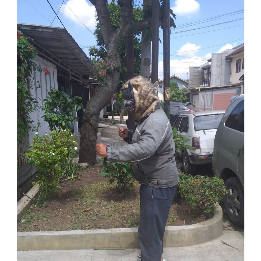 Topeng Serigala Srigala/ Topeng Wolf Dewasa Mask/Topeng Halloween