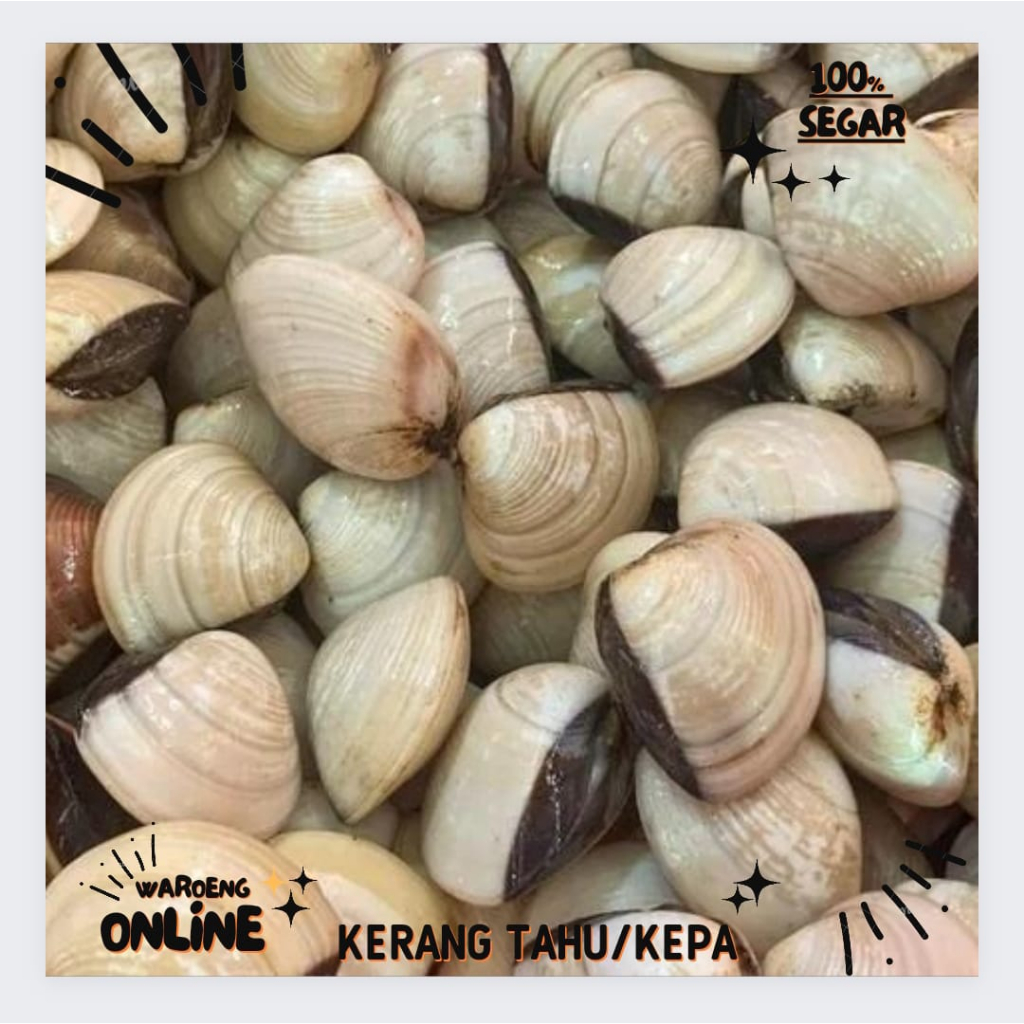 

Kerang Tahu/Kepa Segar 500gr