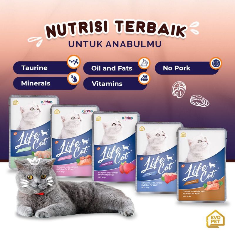 makanan kucing life cat wet food 85gram salmon adult makanan kucing sachet