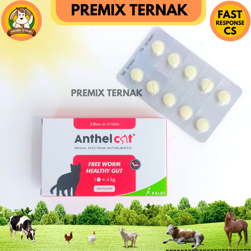 ANTHEL CAT 1 TABLET (KEMASAN BLISTER)- Obat Cacing Kucing LIKE DRONTAL CAT