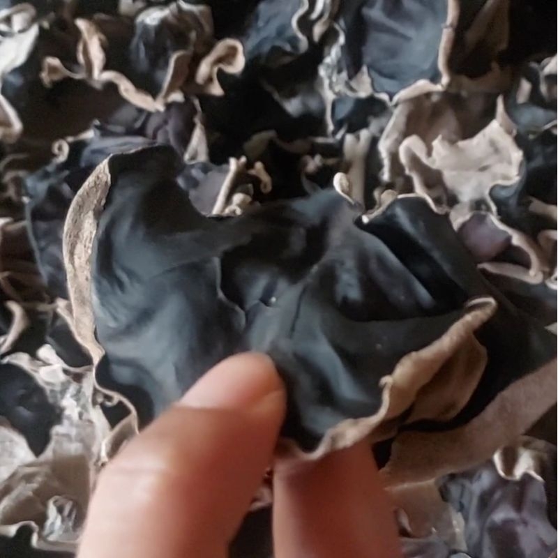 

Jamur Kuping - Black Dried Fungus