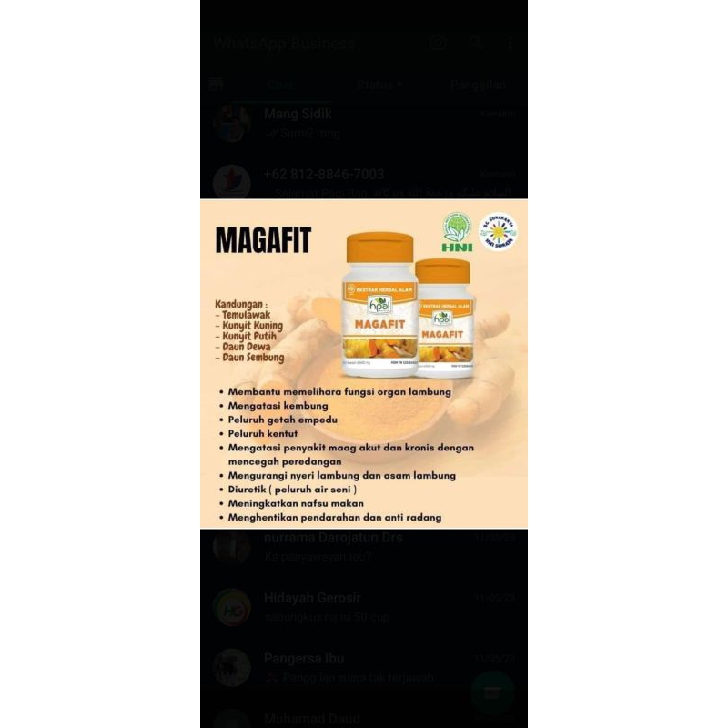 MAGAFIT OBAT LAMBUNG HERBAL