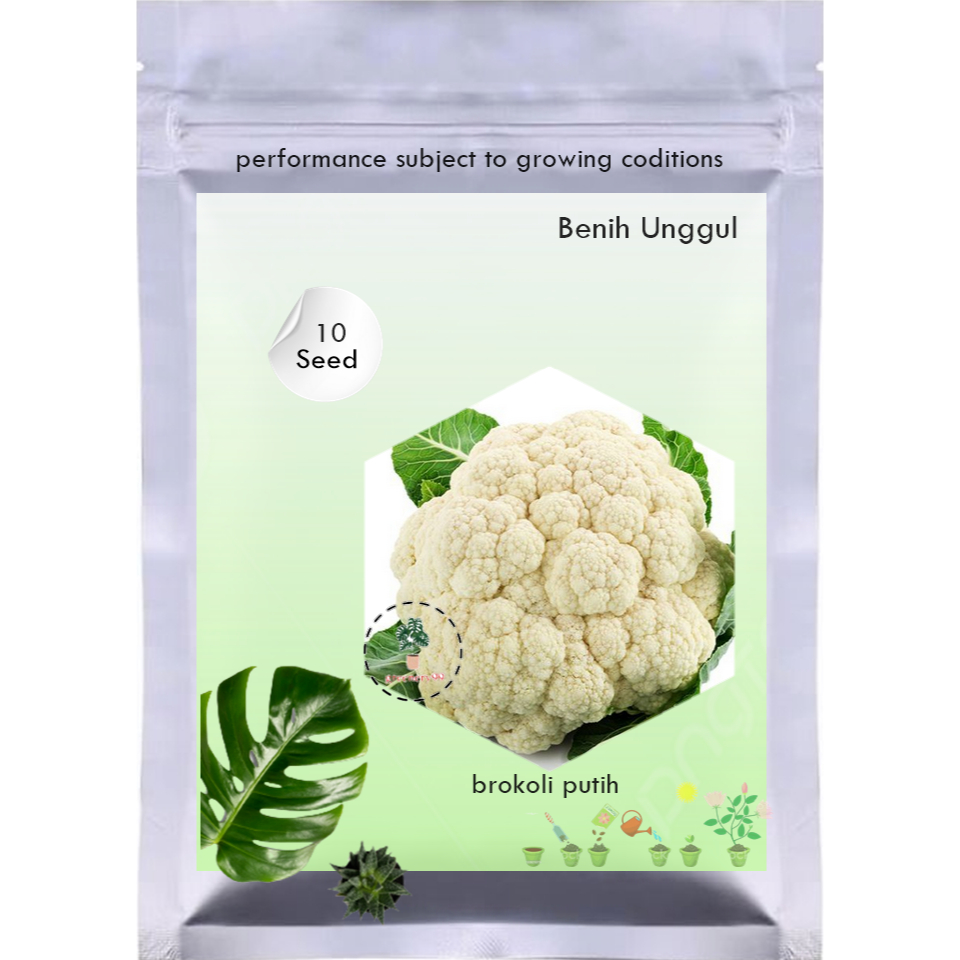 

10Benih CAULIFLOWER Kembang Kol F1 Biji Sayur brokoli