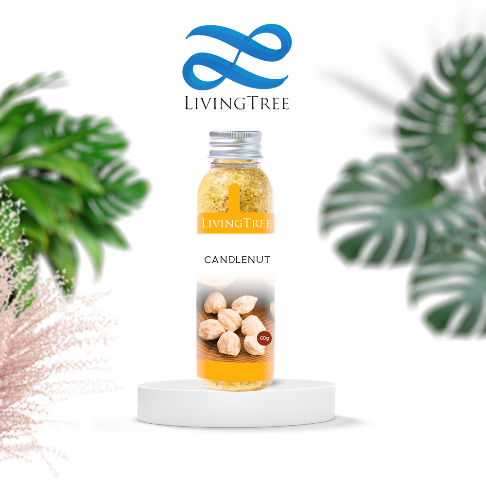 

bubuk Kemiri 60gr Candlenut Powder 100% Rempah Alami LivingTree