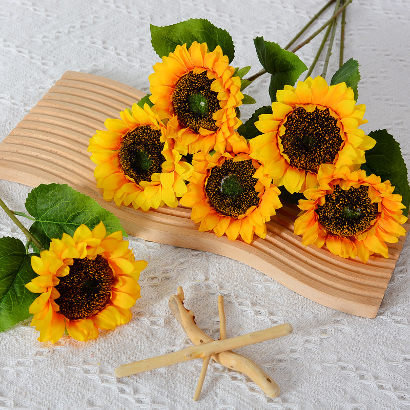 Matahari Jumbo x1 / Sunflower Bunga Matahari ( Tanpa Pot )