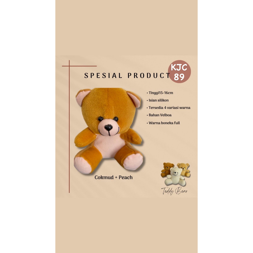 KIANJAYACOLLECTION89 -BONEKA WISUDA/HAMPERS/BONEKA BUKET 15 CM/BONEKA BERUANG KOMBINASI/BONEKA MINI