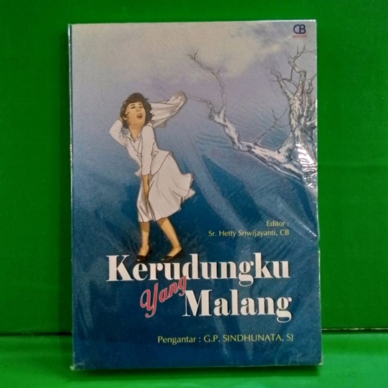 Buku kerudungku yang malang pengantar sindhunata