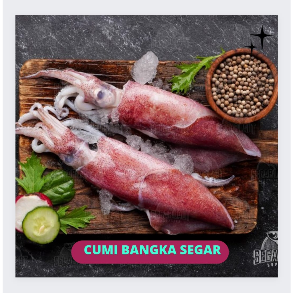 

Cumi Bangka Segar 500gr