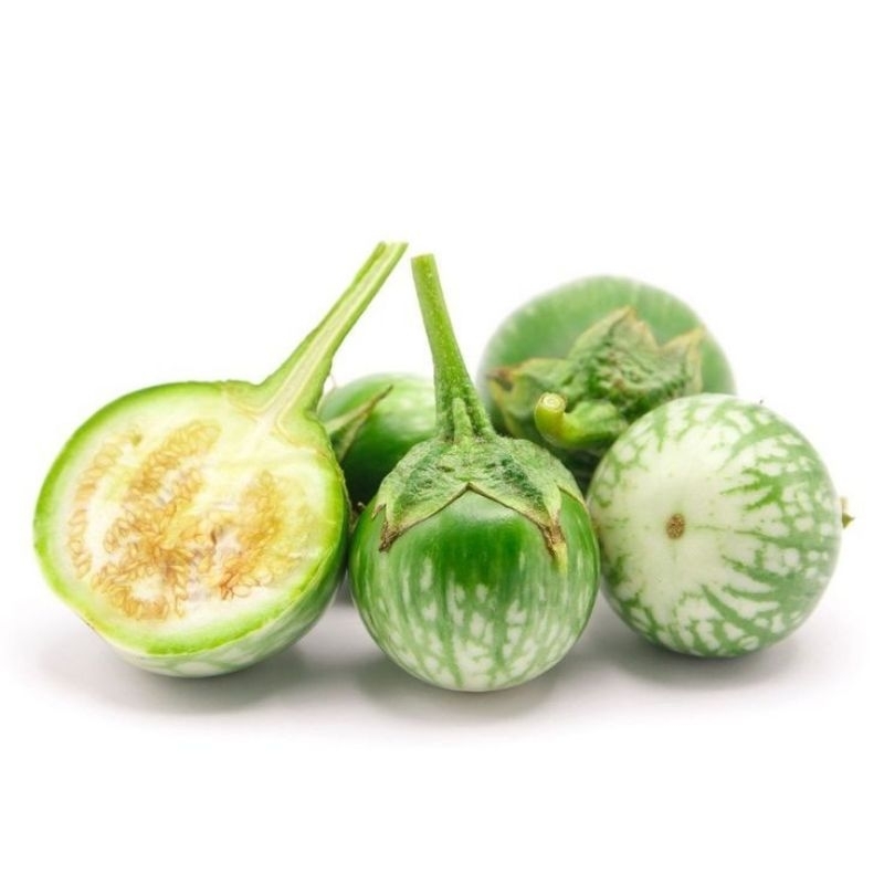 

Terong Muda Lalap bulat 250gram