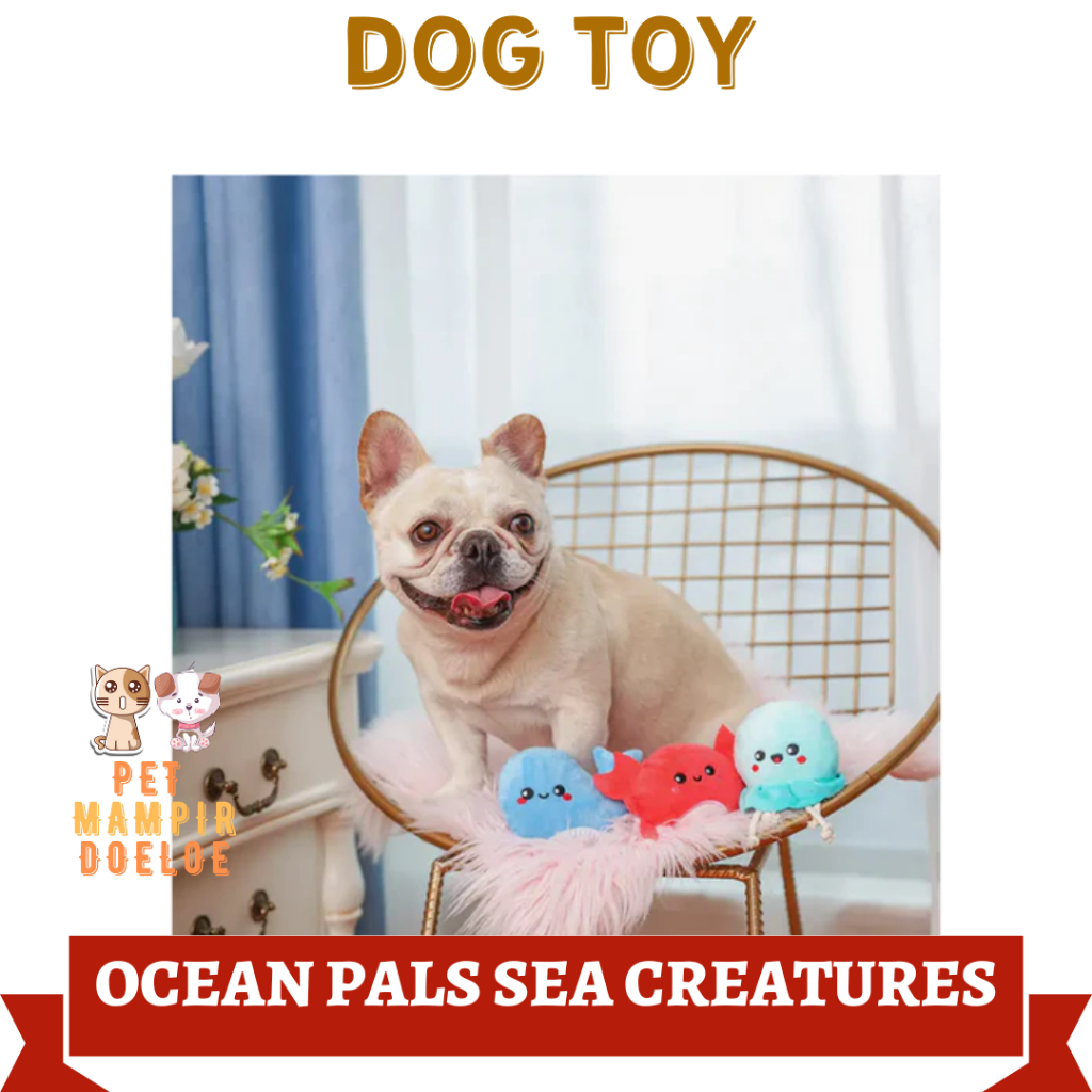 Mainan Anjing OCEAN PALS SEA CREATURES