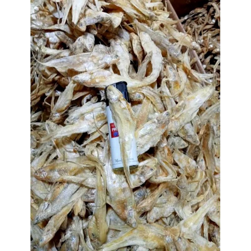 

ikan asin bulu ayam tawar ikan asin tawar ikan asin bulu ayam kualitas super harga murah