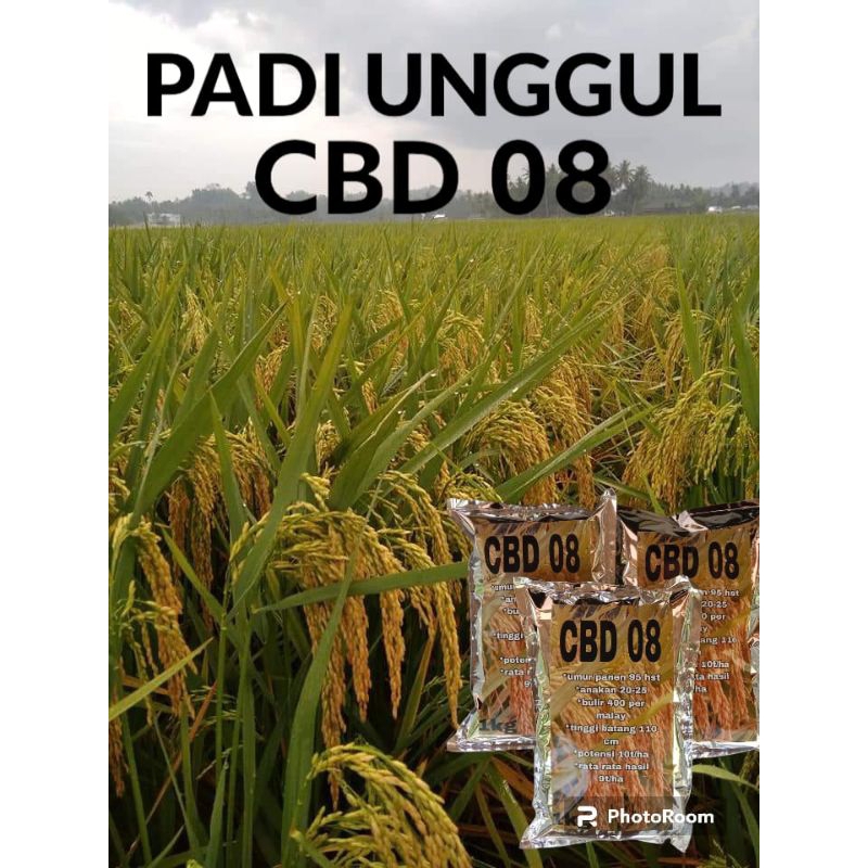 Benih padi CBD 08 1kg