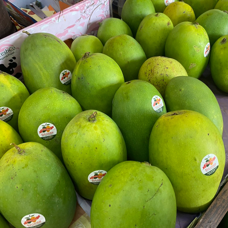 

Mangga suluhan masak pohon | mangga harumanis suluhan manis 1 kg