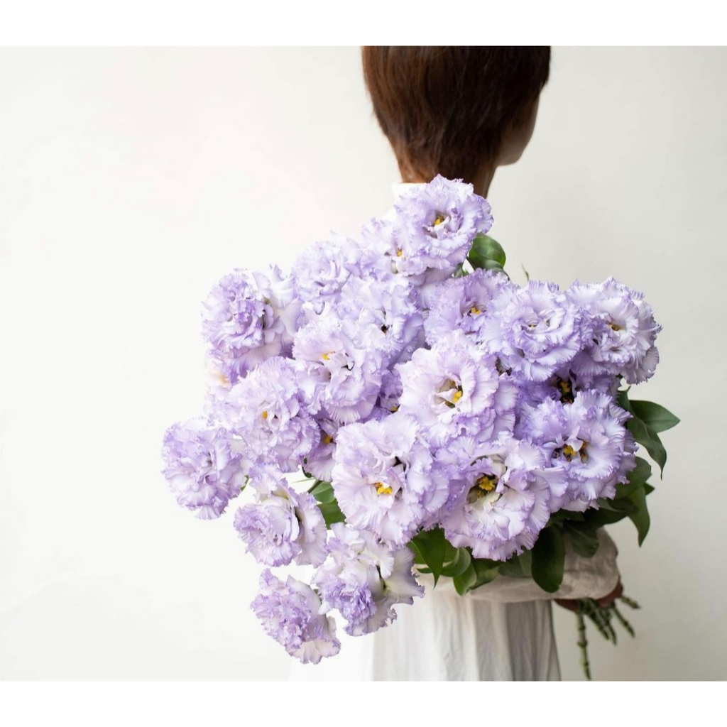 50 Benih Biji Bunga Eustoma Lisianthus Import NF Siren