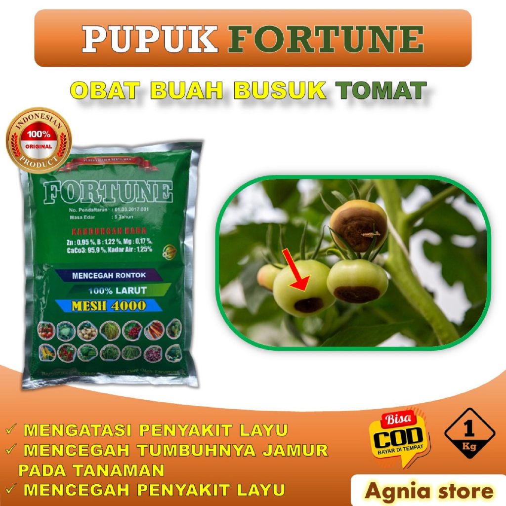 PUPUK FORTUNE isi 1 kg OBAT BUSUK BUAH tomat TERLARIS - pupuk PELEBAT BUAH tomat - pupuk untuk tanam