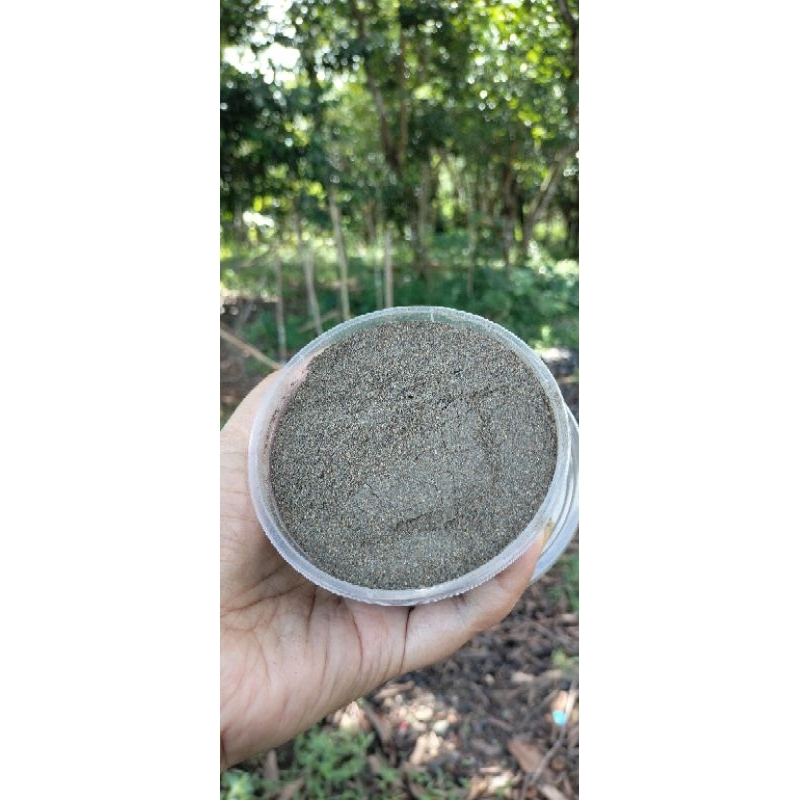 BEDA LOTONG SERBUK POWDER 125 GRAM (CUP)