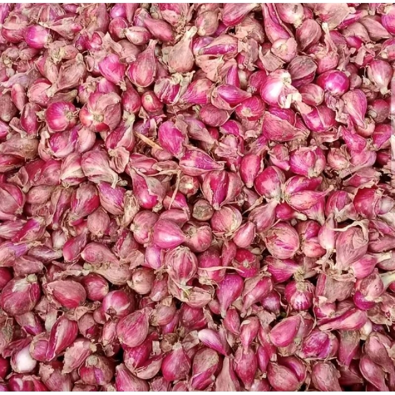 

bawang merah asli Brebes super 500 gr