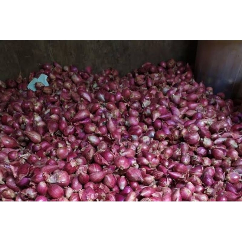 

bawang merah Brebes kualitas bagus besar 1kg