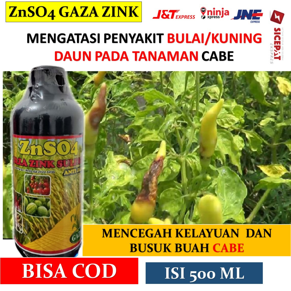 COD Obat Penyakit Patek Busuk Cabe/Cabai GAZA ZINK  500 ML - Pupuk Cabe Lebat Atasi Busuk Kering Pat