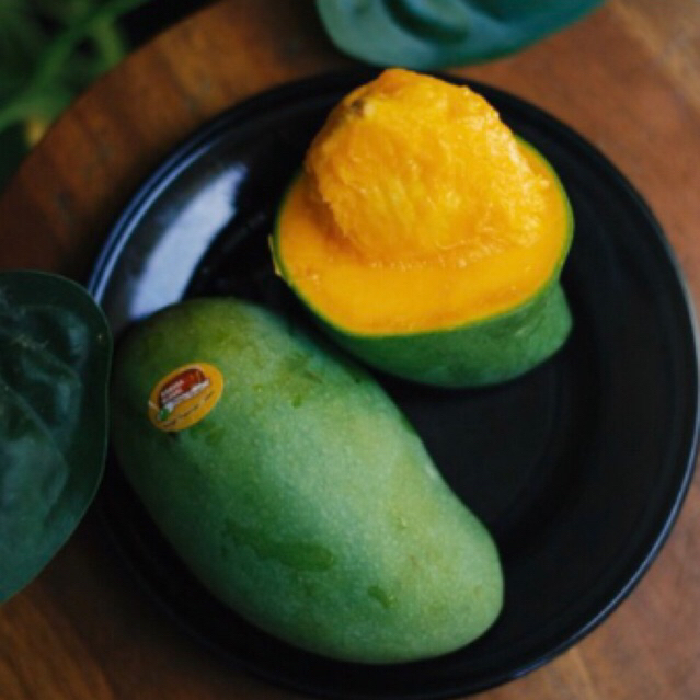 

mangga alpukat tua pohon