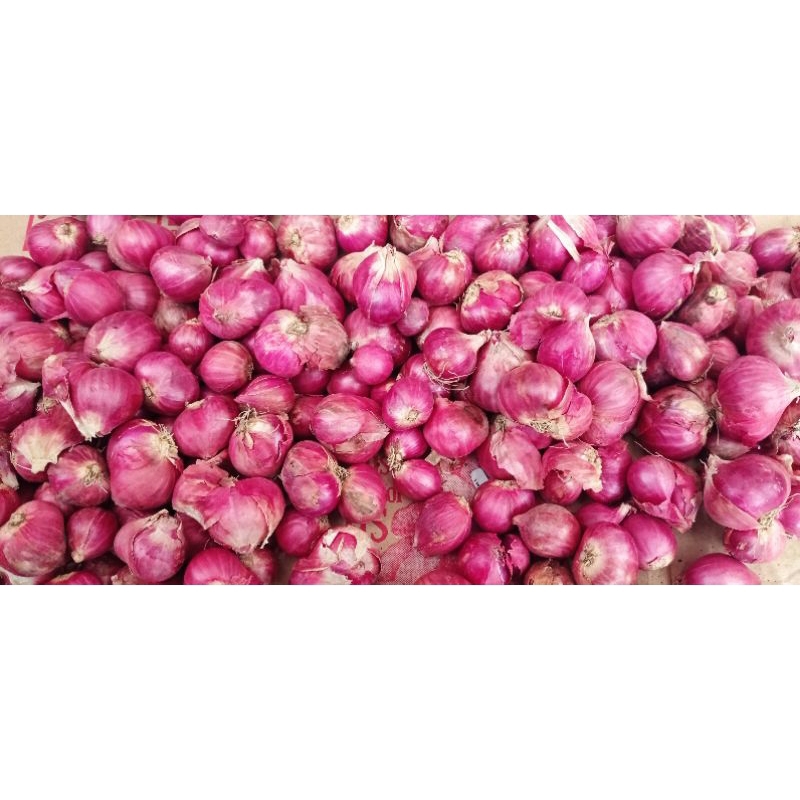 

Bawang merah atau brambang super 100gr 250gr 500gr ukuran besar dan sedang bumbu dapur masakan dikemas berbagai variasi kemasan