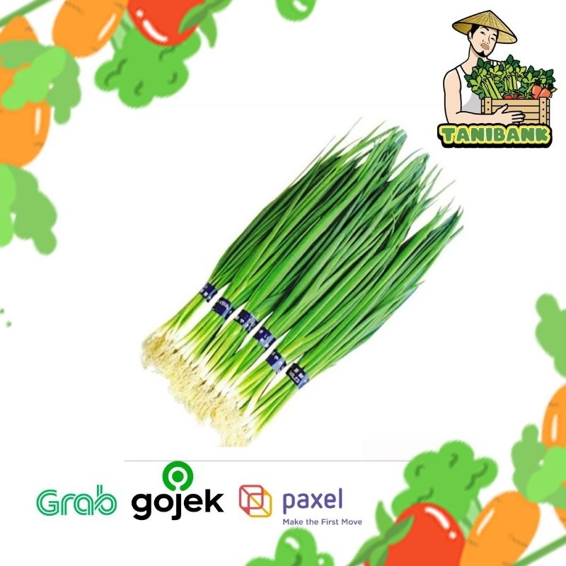 

Daun Bawang Besar / Daun Bawang / Daun bawang Fresh
