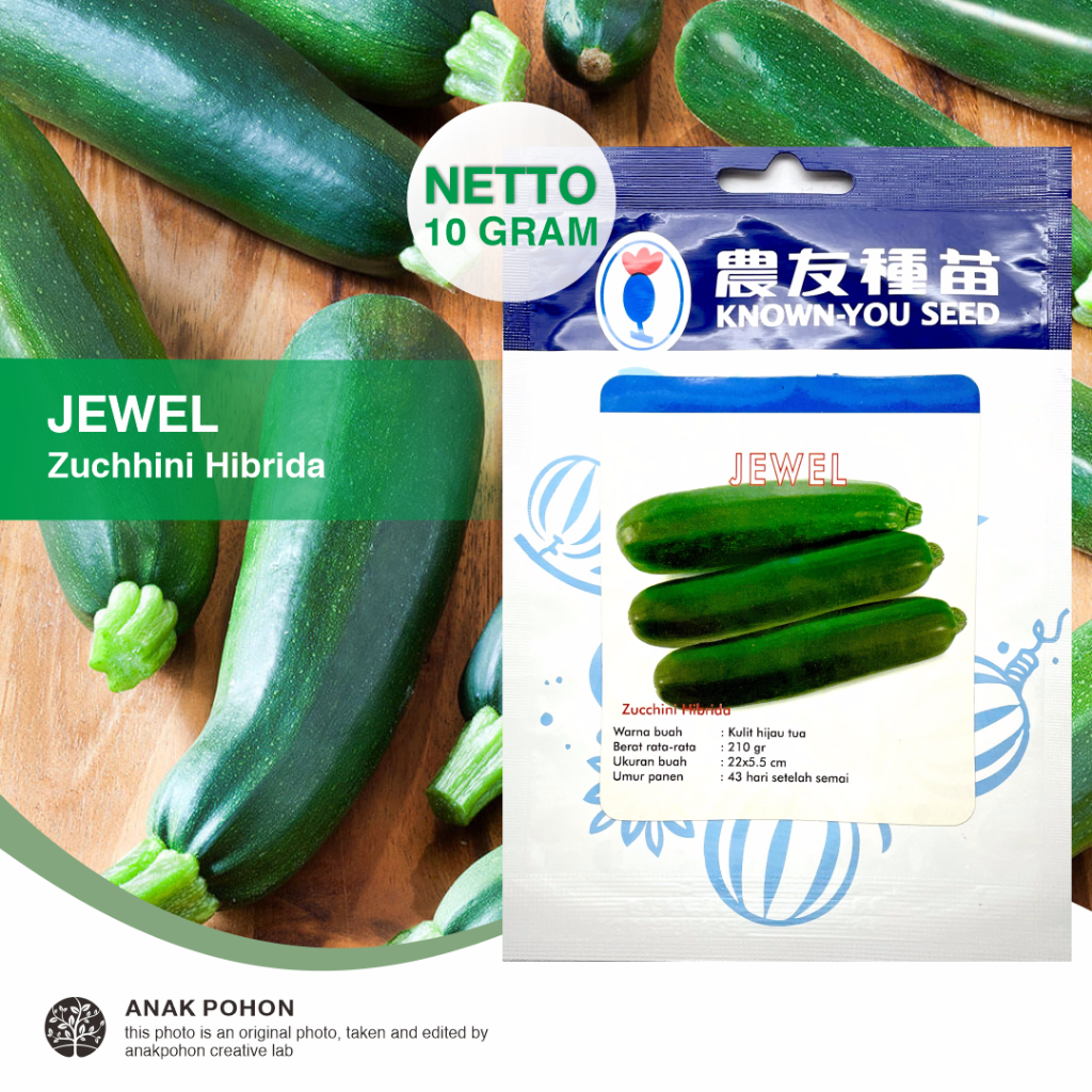 (1 PACK - 10 GRAM) Benih Zucchini JEWEL Labu Zukini Hijau Courgette Hibrida Seeds - Known You Seed KYS