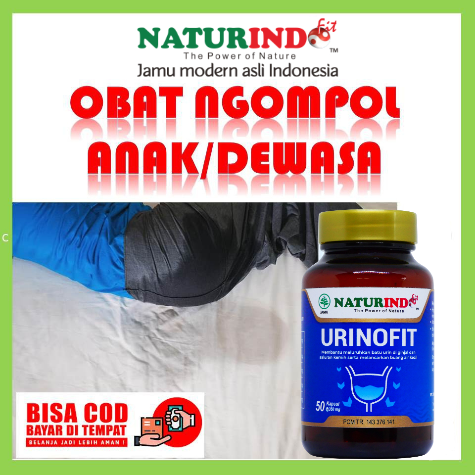 Obat Ngompol Ngompolan Anak Batu Ginjal Gagal Ginjal Anak Sering Ngompol Original Alami Sakit Ginjal