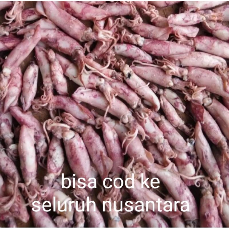

(COD) Cumi Asin Jumbo Grade A / Cumi Jumbo Murah / Cumi Asin / Cumi Jumbo Termurah / Cumi Asin / Cumi Bebi