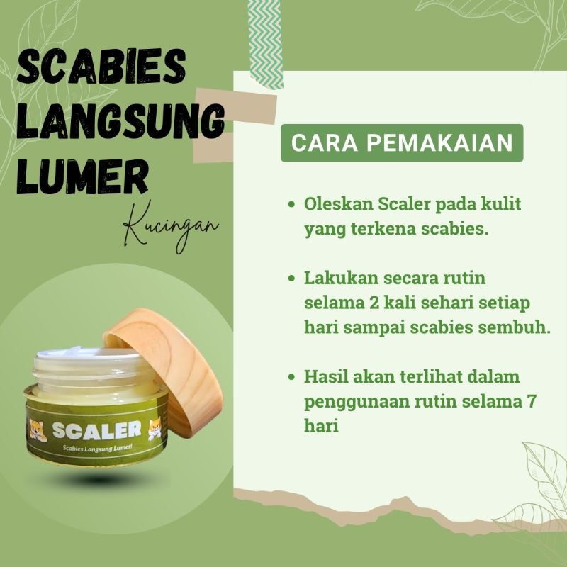 Salep Kucingan Obat Scabies Koreng Gudik Ampuh