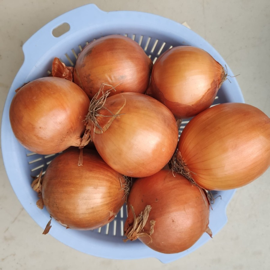 

bawang bombay fresh new zealand - 1kg