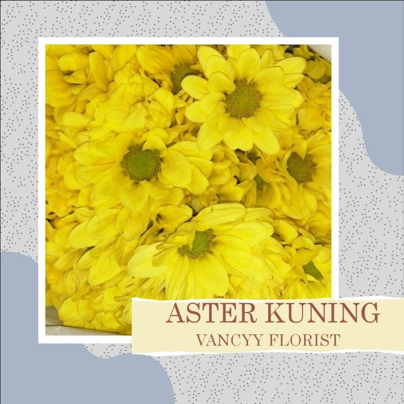 Bunga Aster Kuning Fresh / Bunga Potong Aster / Bunga Aster Segar / Bunga Aster Vancyy Florist / Bun