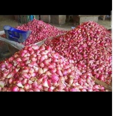 

bawang merah kualitas bagus 500gr