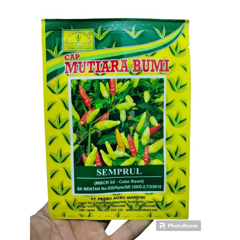 

Cabe Semprul Kemasan 10gr Original Pabrik Mutiara bumi