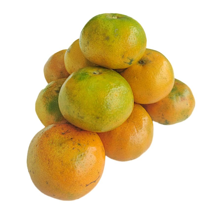 

Buah Jeruk Medan Manis Fresh