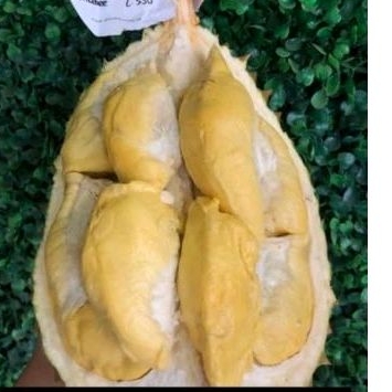 

Durian Montong Bawor Fresh