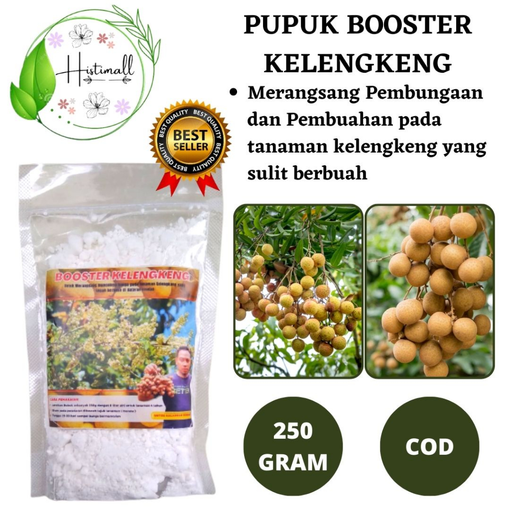 Pupuk Kelengkeng Cepat Berbuah, Pupuk Kelengkeng Agar Cepat Buah, JUAL PUPUK KELENGKENG KCLO3, Pupuk