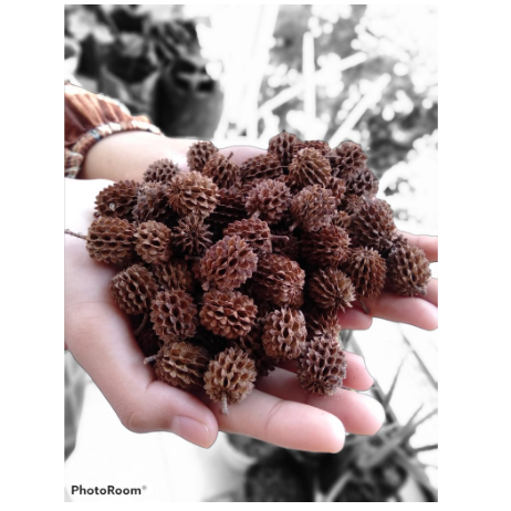 TERLARIS Bunga Kering Hias Parcel Bunga Kering Hiasan Mahar Bunga Kering Hiasan Hantaran Bunga Kerin