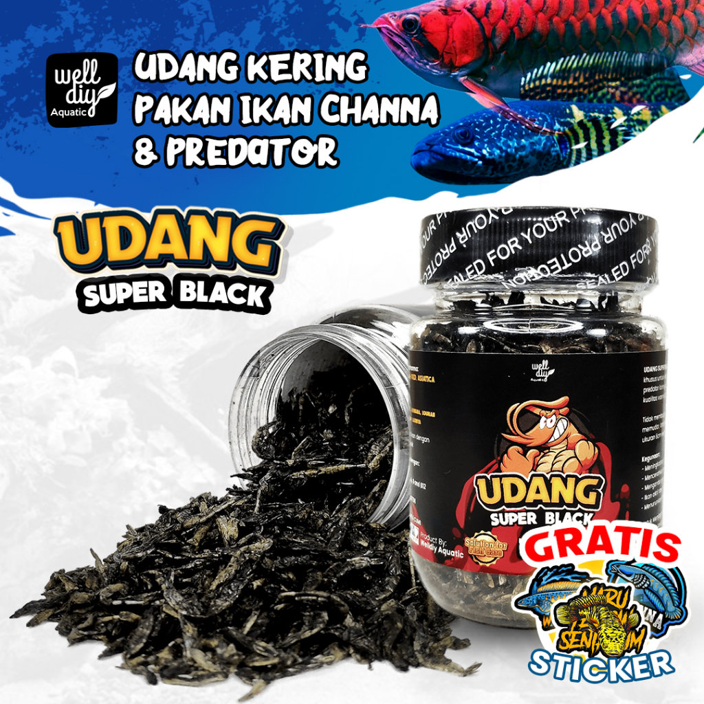 Udang Kering Black Pakan Ikan Channa Chana Maru Asiatica Predator Arowana Arwana Kura Kura SUPER BLACK