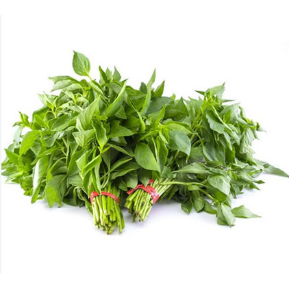 

KIRIM BESOK Daun Kemangi Ikat