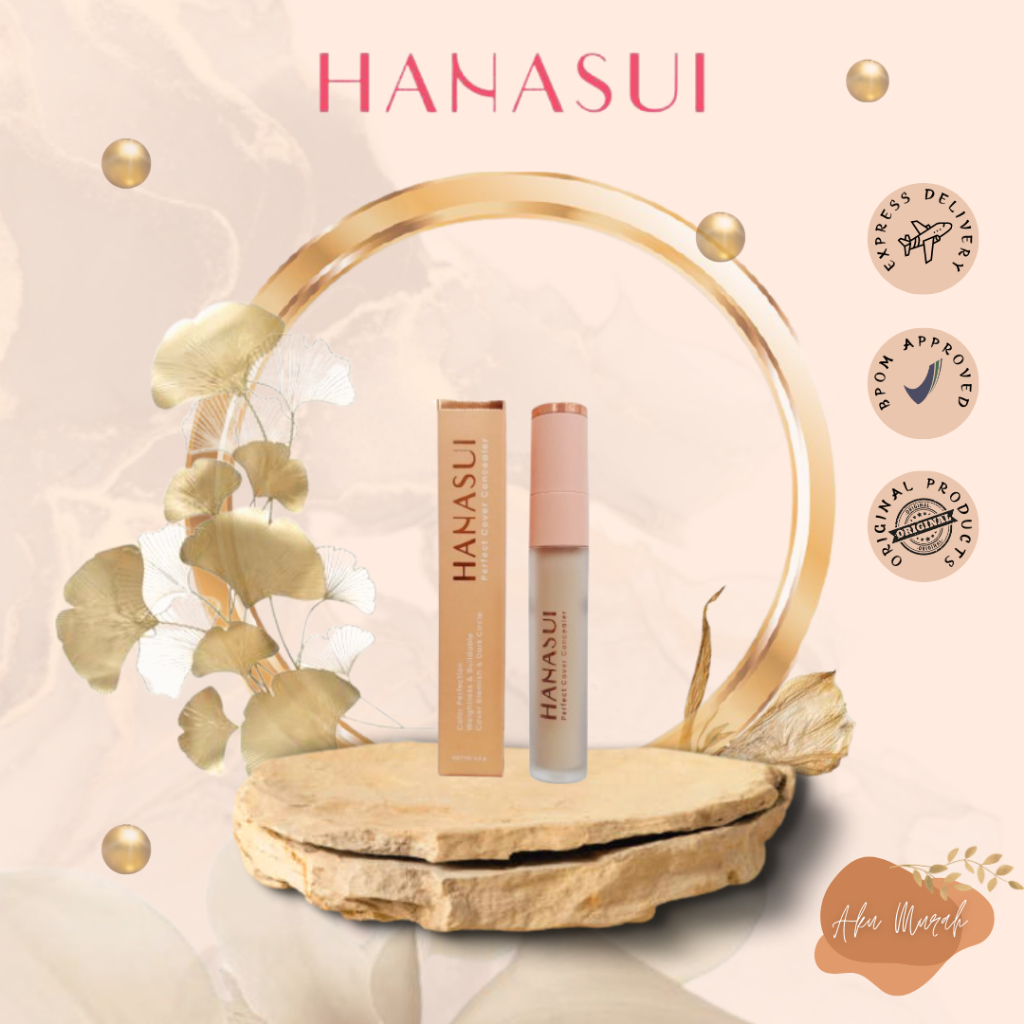 ✨ AKU MURAH ✨ HANASUI PERFECT COVER CONCEALER 4.5G SERIES