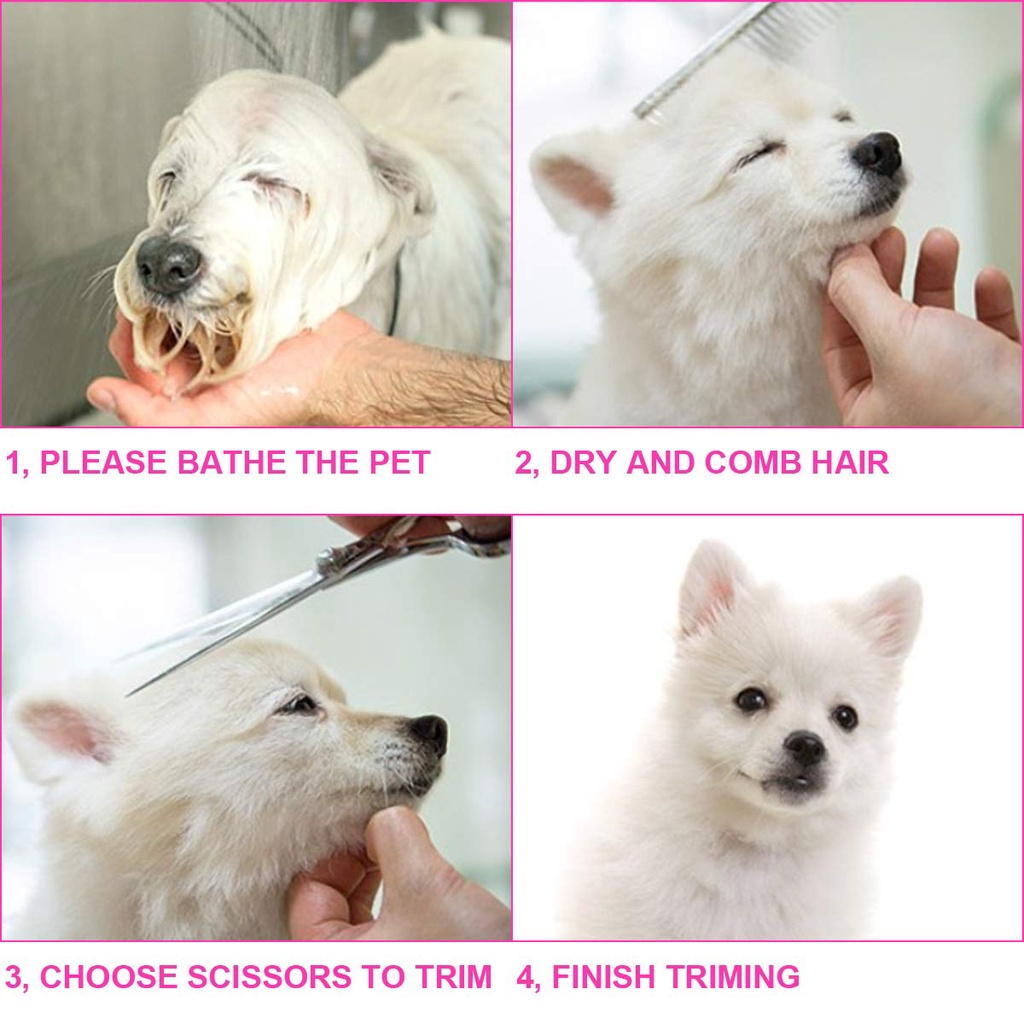 6pcs Gunting grooming Anjing / Kucing Peliharaan Model Lengkung Atas Bawah