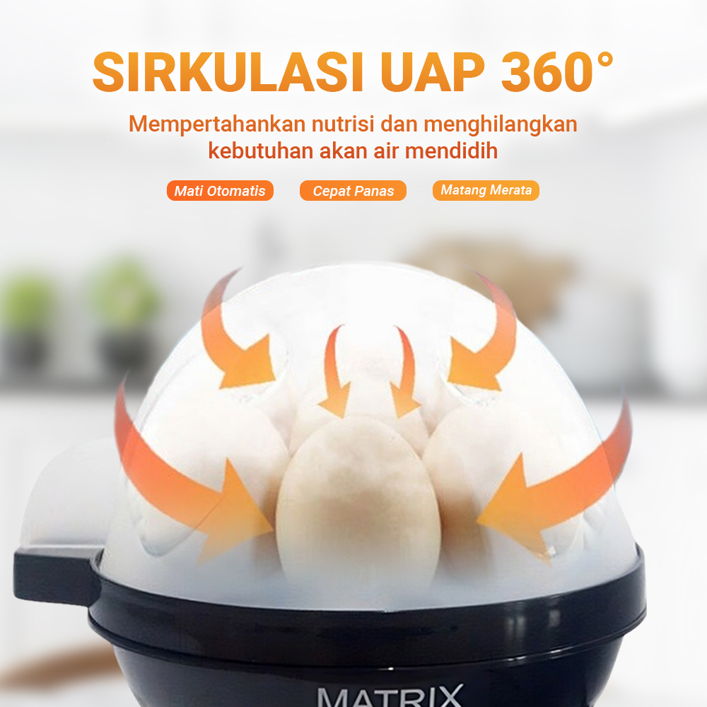 Electric Egg Cooker Boiler Alat Rebus Telur ZD-001 Termurah