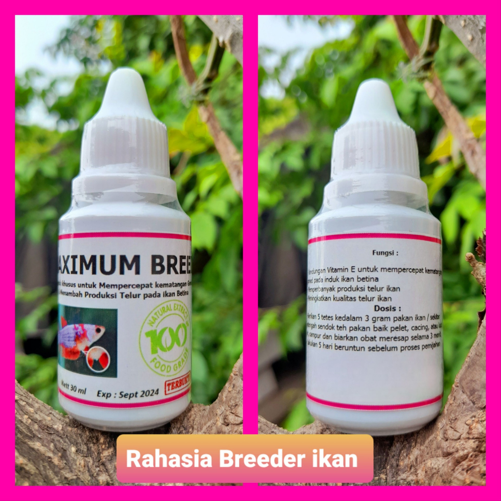 MAXIMUM BREED Suplemen Ternak ikan hias untuk hasil Melimpah